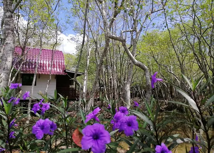 Api-Api Eco Chalet